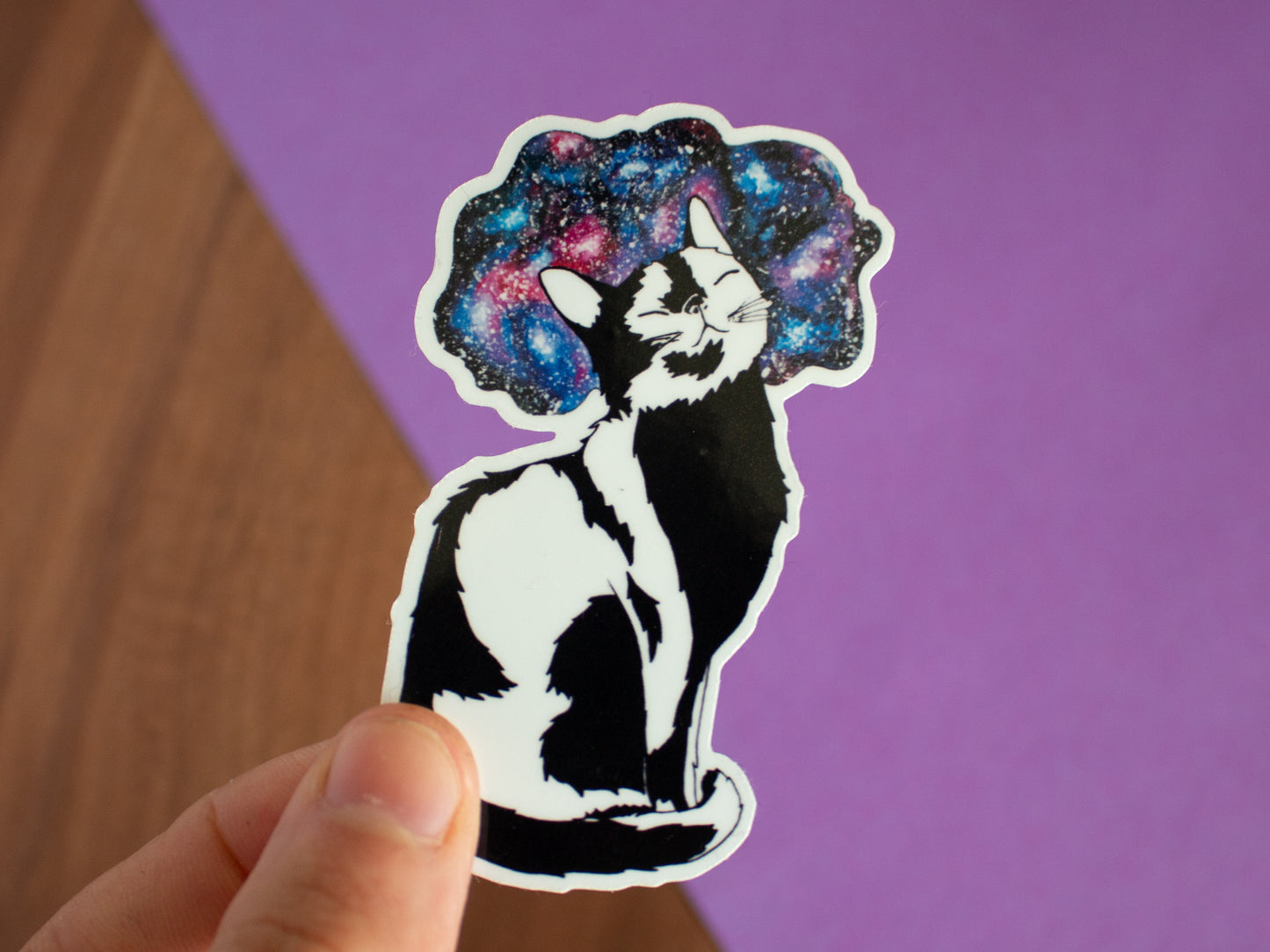 Katzen Sticker Set