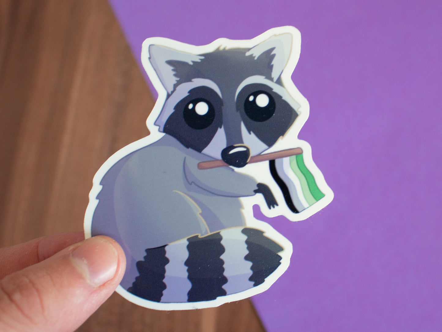 Queerer Waschbär Sticker