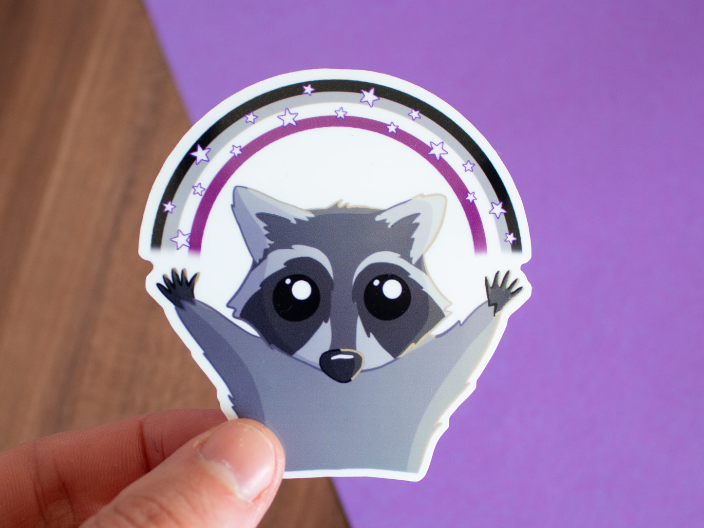 Pride-Waschbär mit Regenbogen Sticker